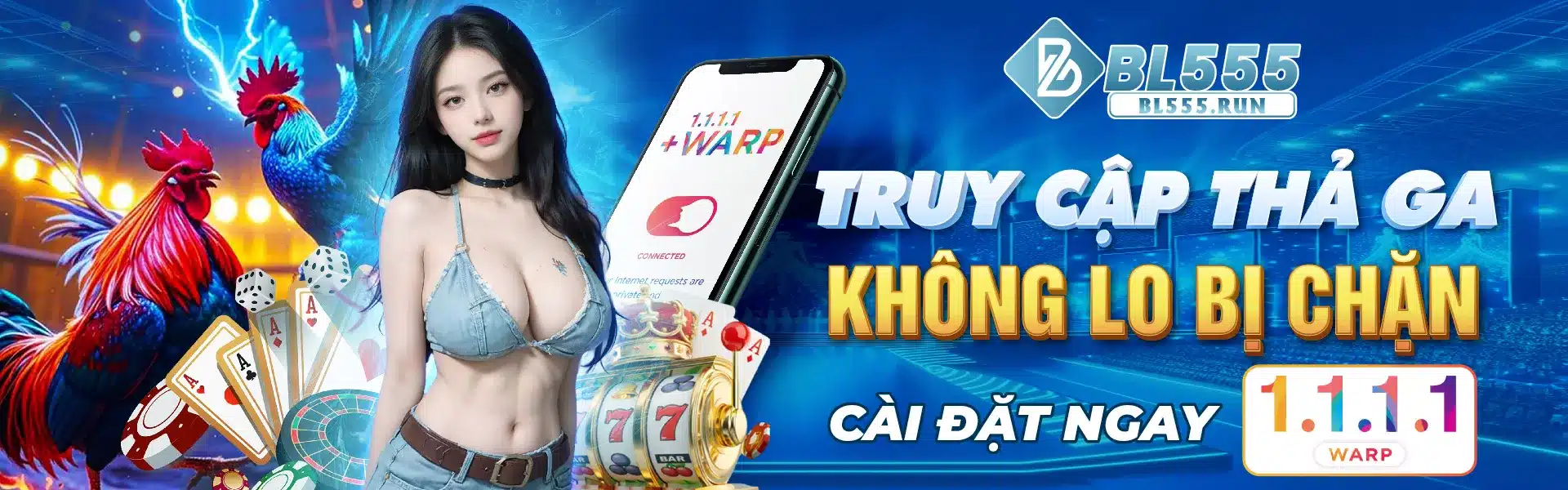 Cài đặt 1.1.1.1